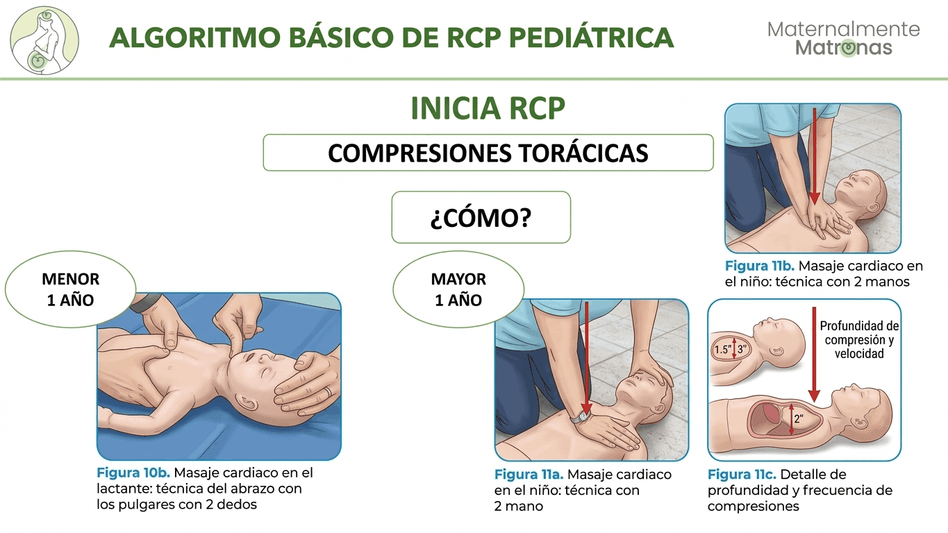 Compresiones toracicas en RCP pediatrica segun ERC 2025: tecnica y profundidad correcta en bebes y ninos