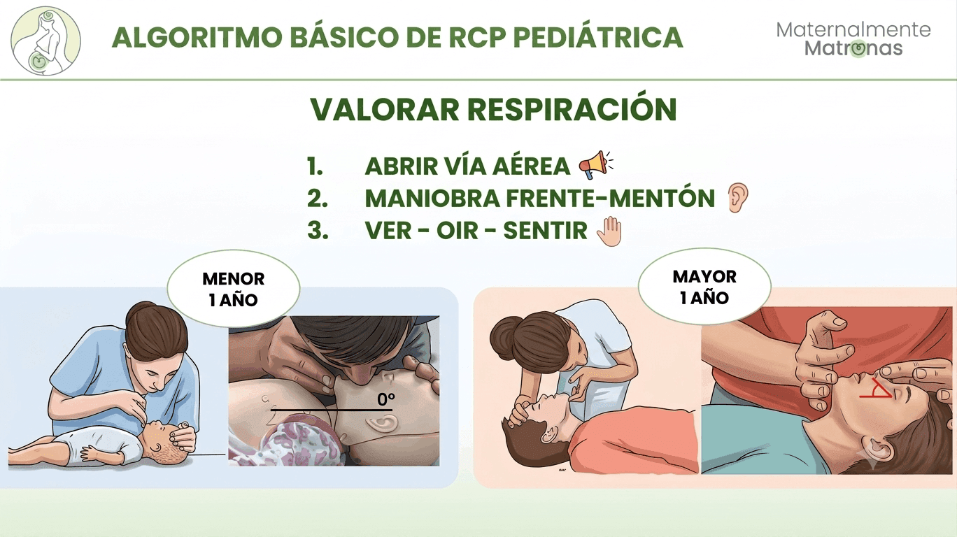 Algoritmo RCP pediatrica ERC 2025: pasos Ver, Oir y Sentir para evaluar al bebe o nino inconsciente.